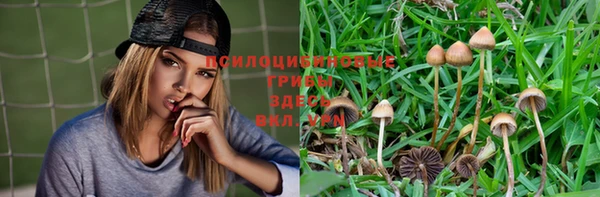 2c-b Вязьма