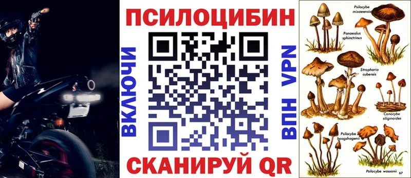 Купить закладки  Опочка  Галлюциногенные грибы Psilocybe 